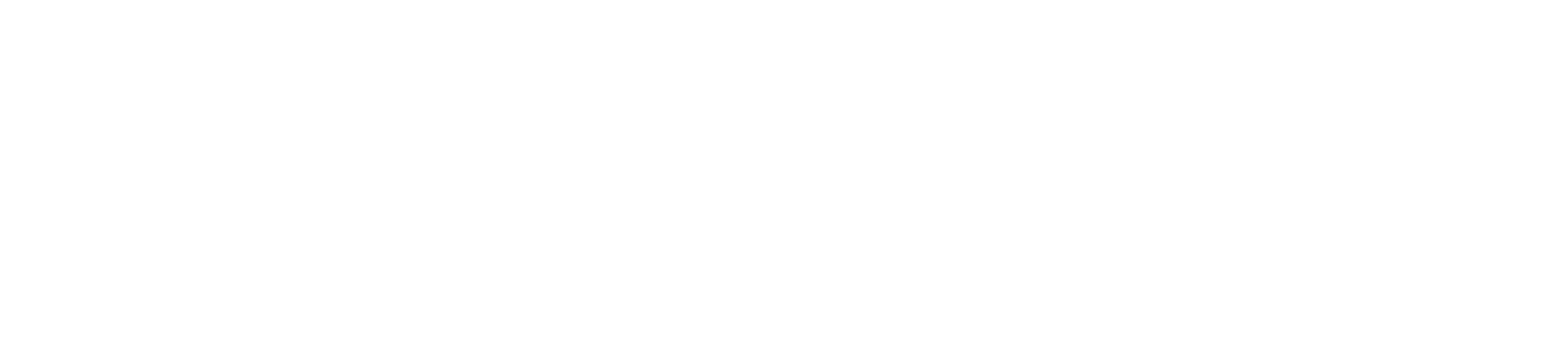 Randot Travel Logo